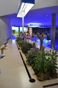 exhibition-stand- contractors